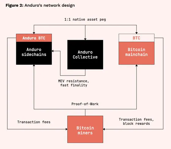 Schematic of Marathon’s “Anduro” network design