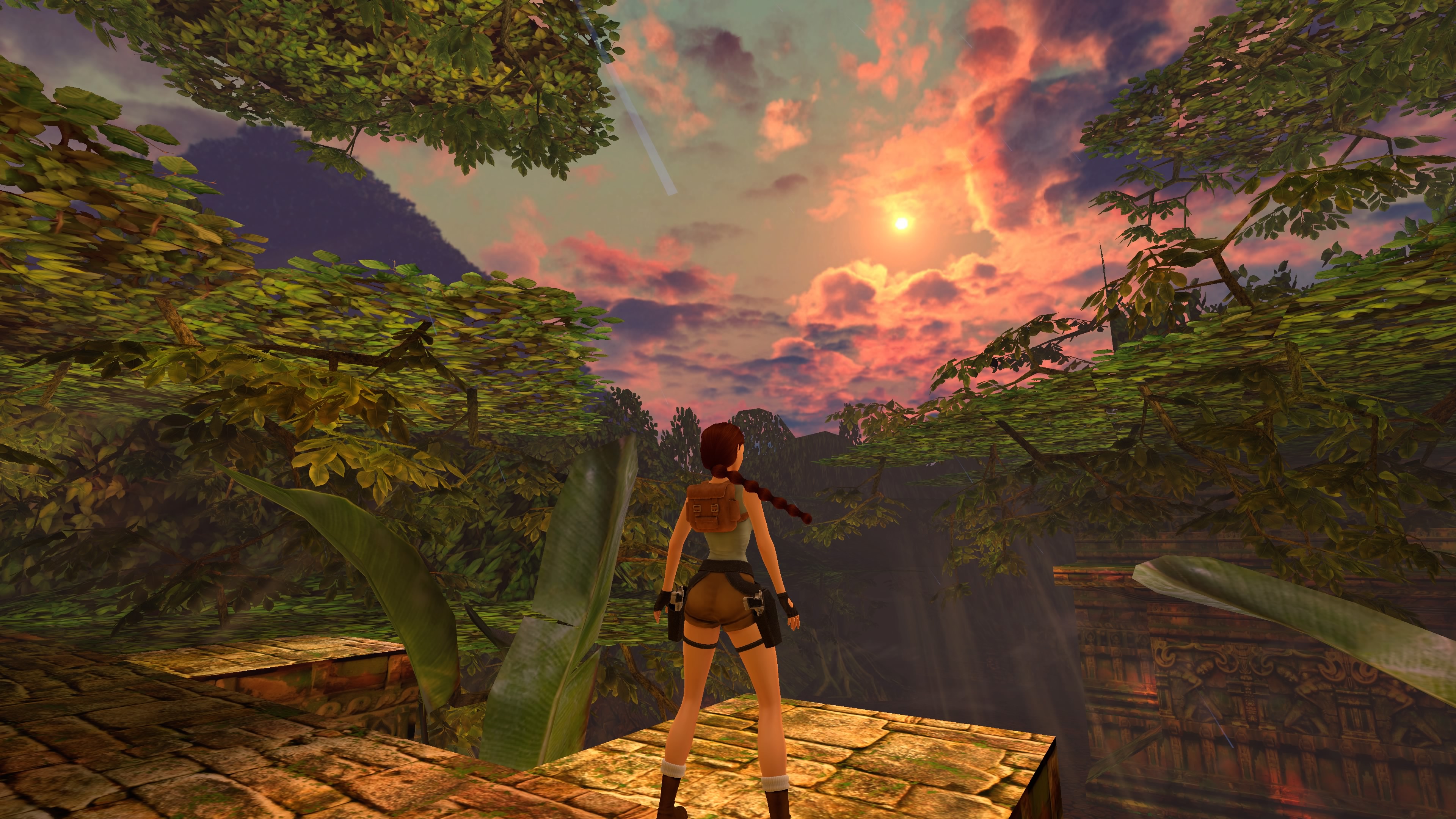 Tomb Raider Remastered Control Options