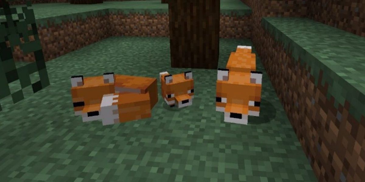 Minecraft-狐狸