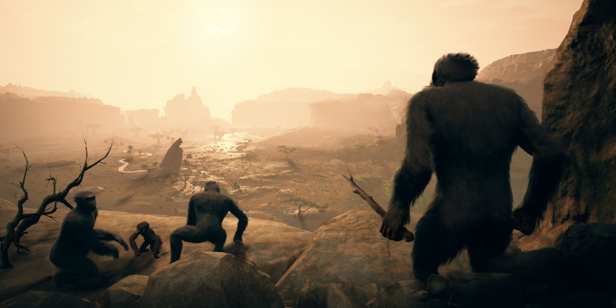 Trois singes regardant au loin dans Ancêtres : L'Odyssée de l'Humanité