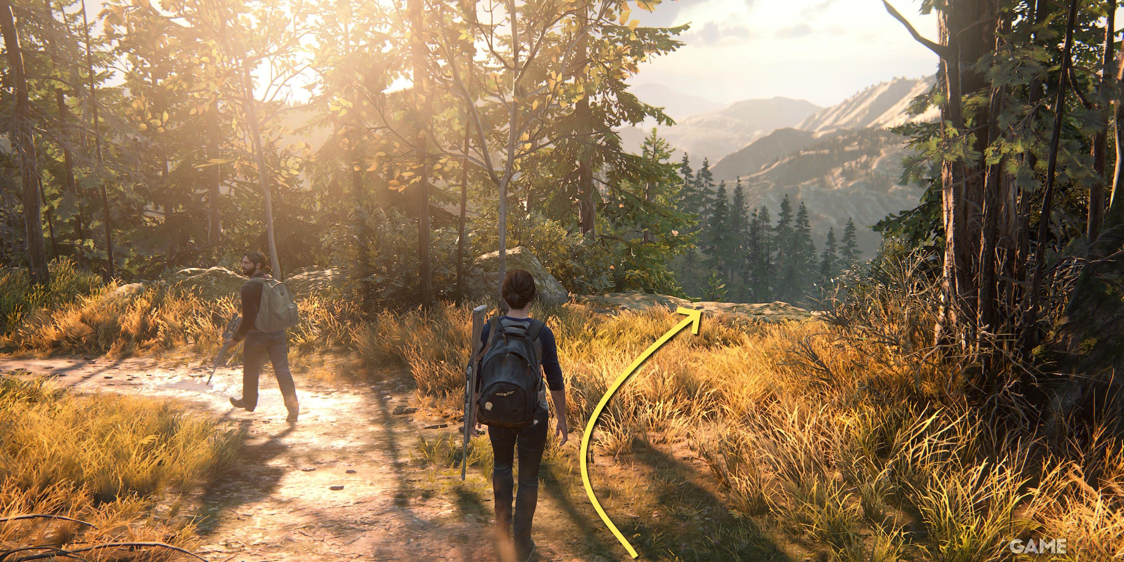 The Last of Us™ Part II il diario di trovando le corde