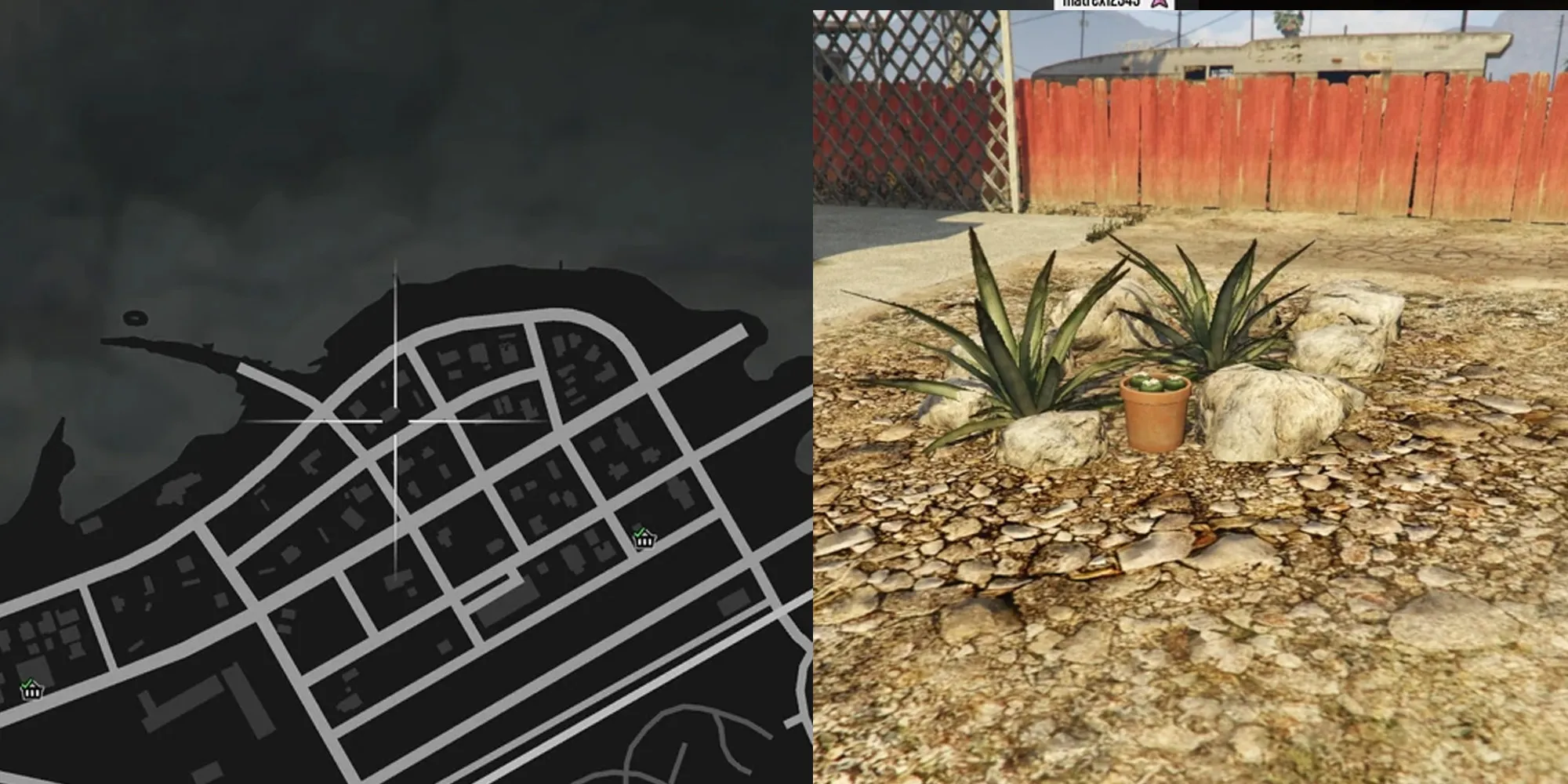 Ubicación de Cactus Peyote número 52 de GTA Online