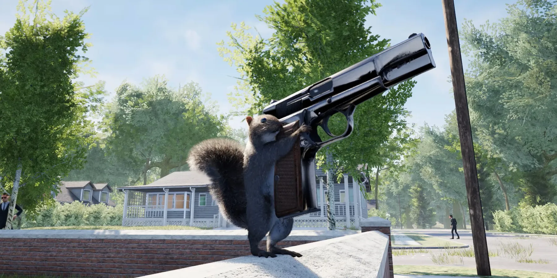 Esquilo Com Uma Arma