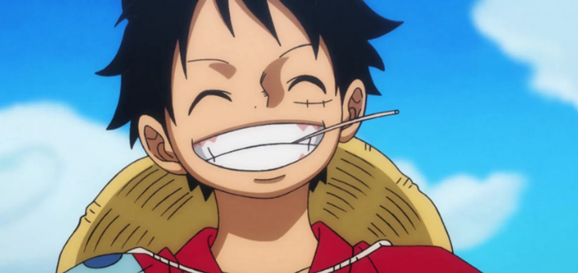 One Piece Luffy