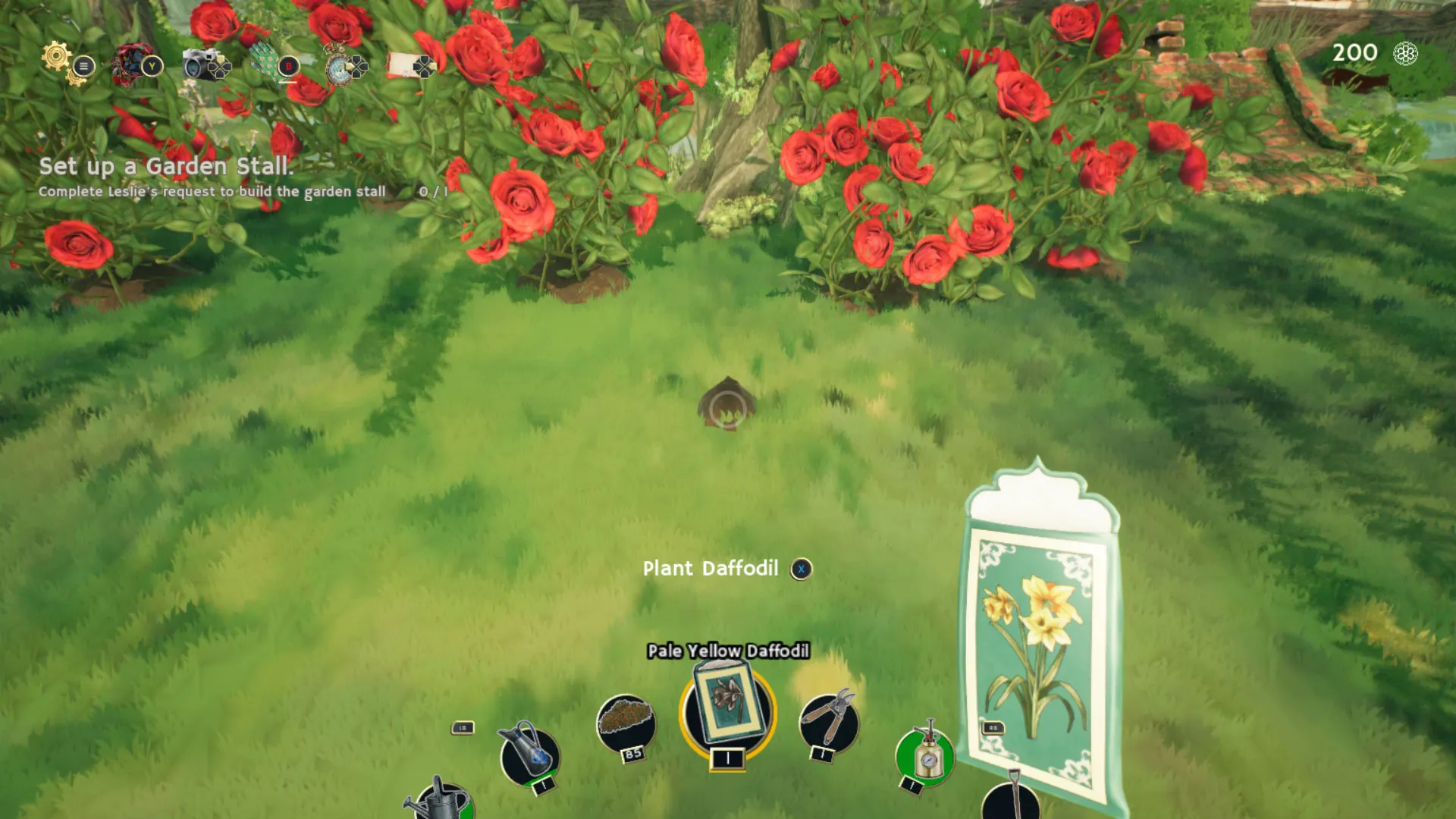 Момент перед посадкой нарцисса рядом с кустами роз в Садовой жизни: Уютный симулятор.