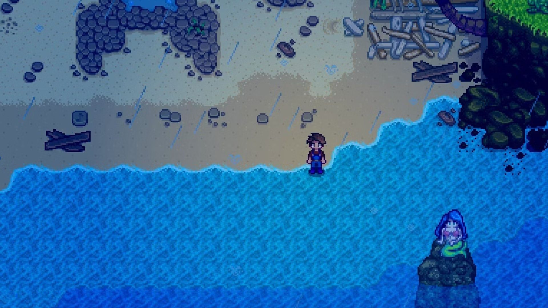 星露谷物语玩家站在姜岛美人鱼旁边的海滩上