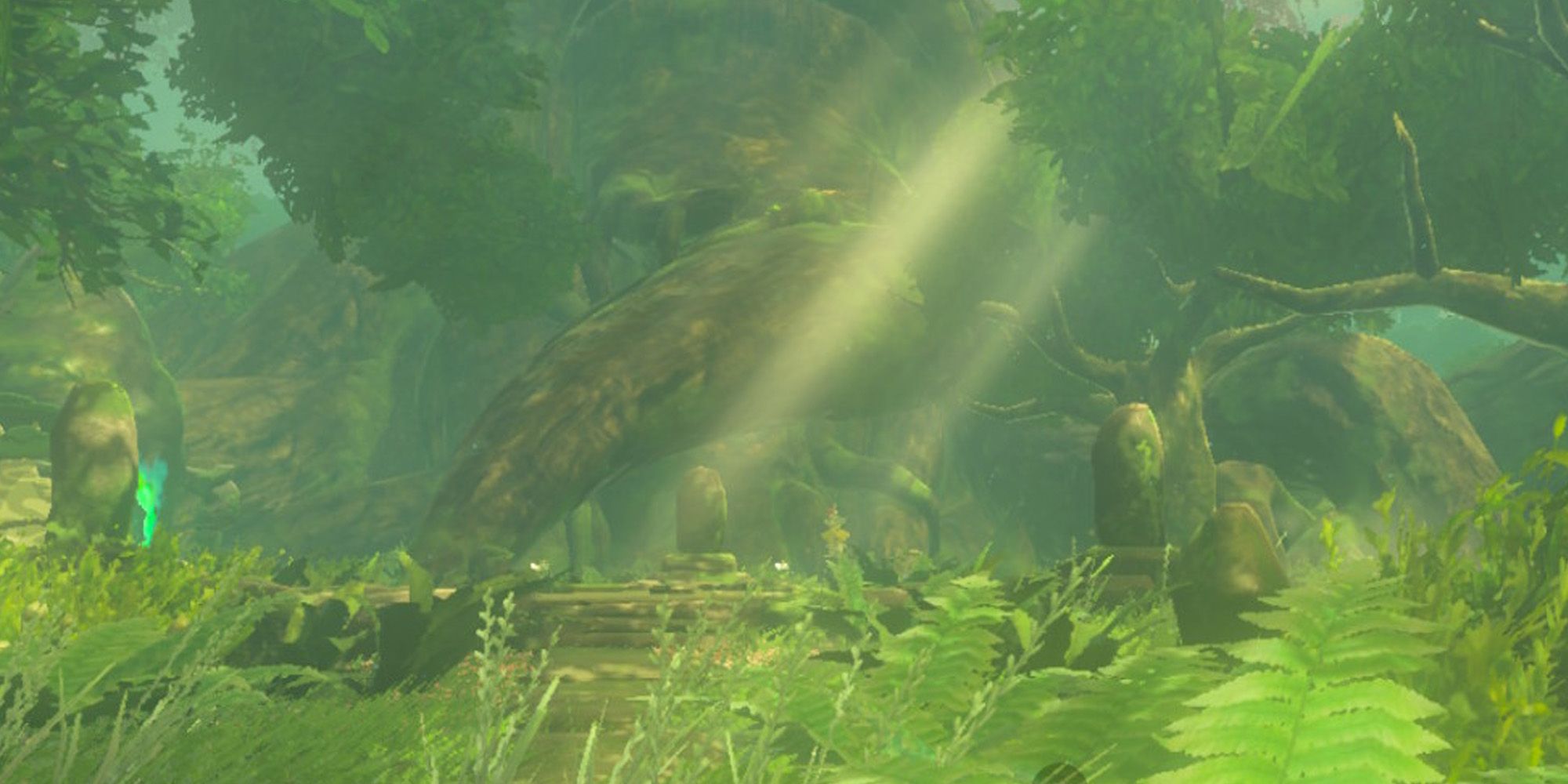 Zelda TotkKorok Forest