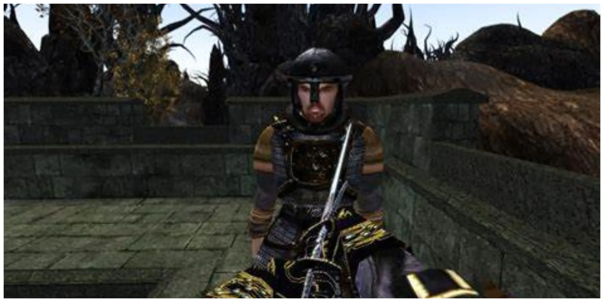 Elder Scrolls 3 Morrowind 3D gameplay