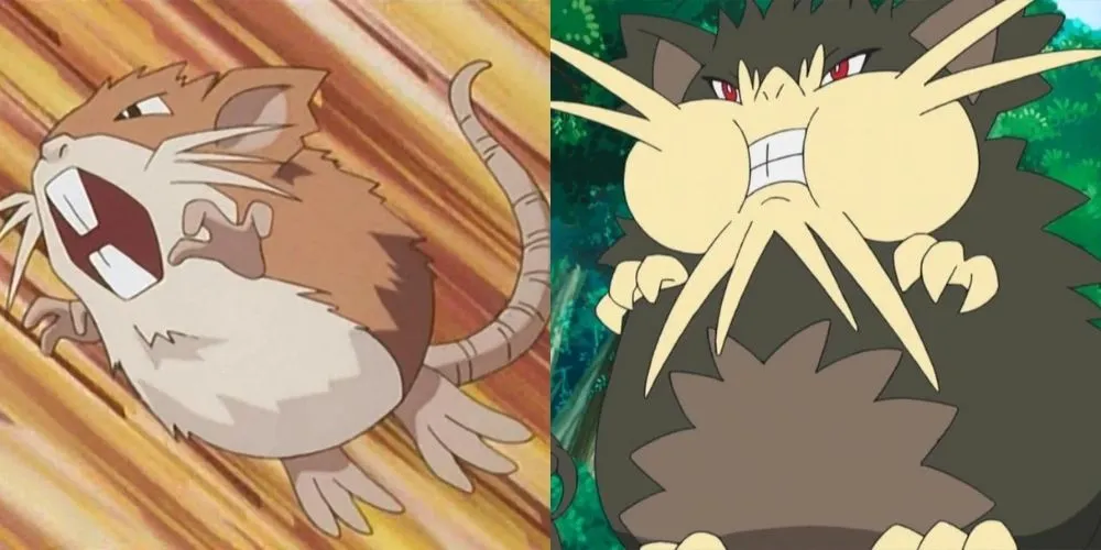 Raticate di Kanto e Raticate di Alola nell'anime di Pokemon