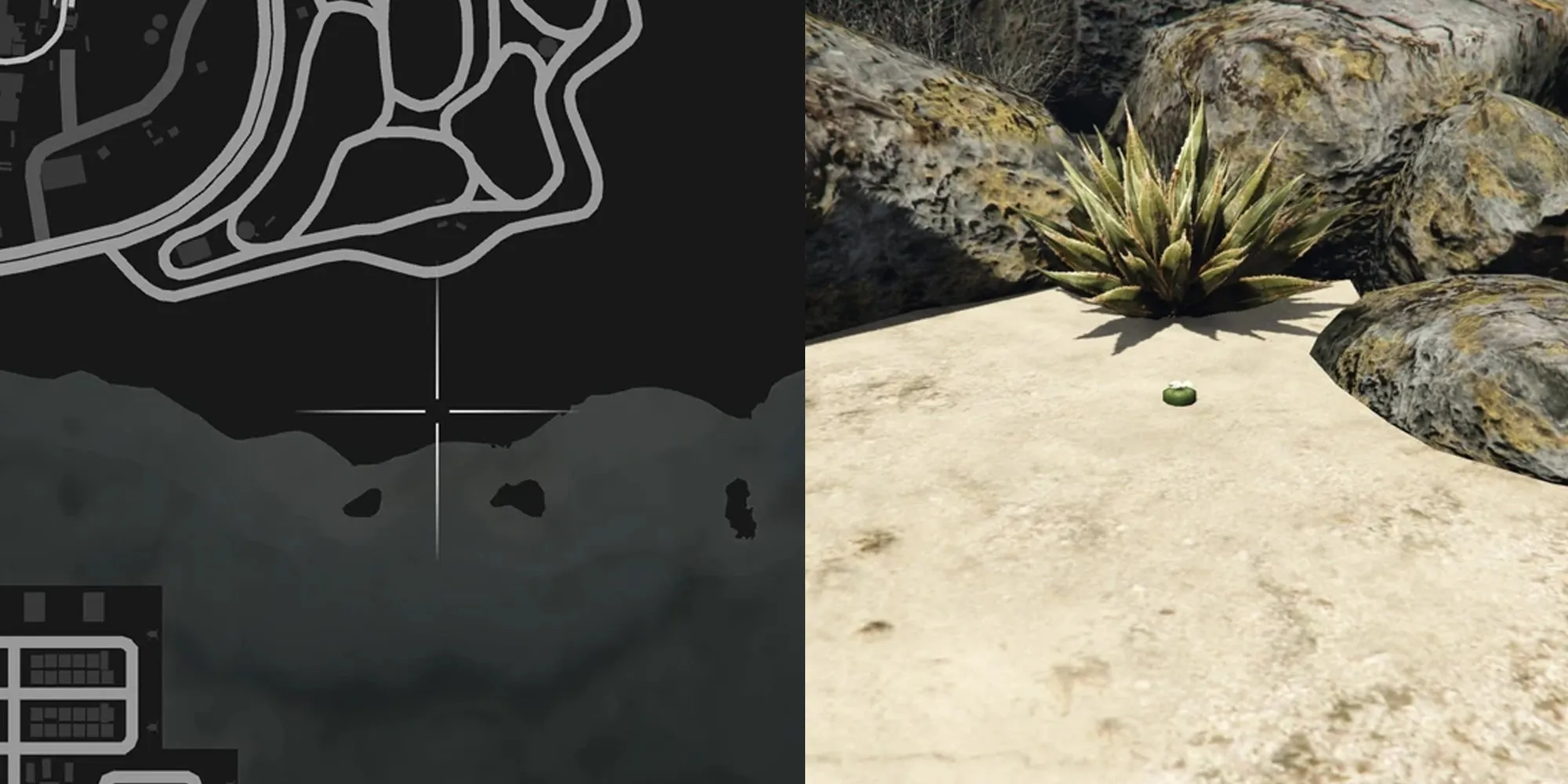 Ubicación del cactus Peyote en GTA Online número 6