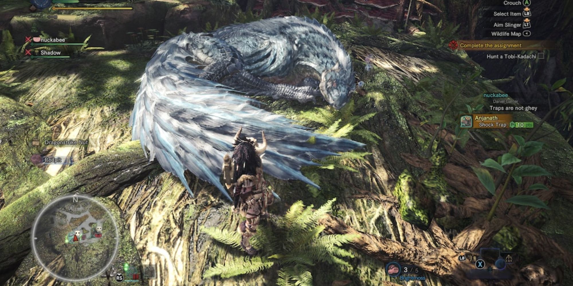 Un cacciatore che osserva Tobi-Kadachi dormire su un albero