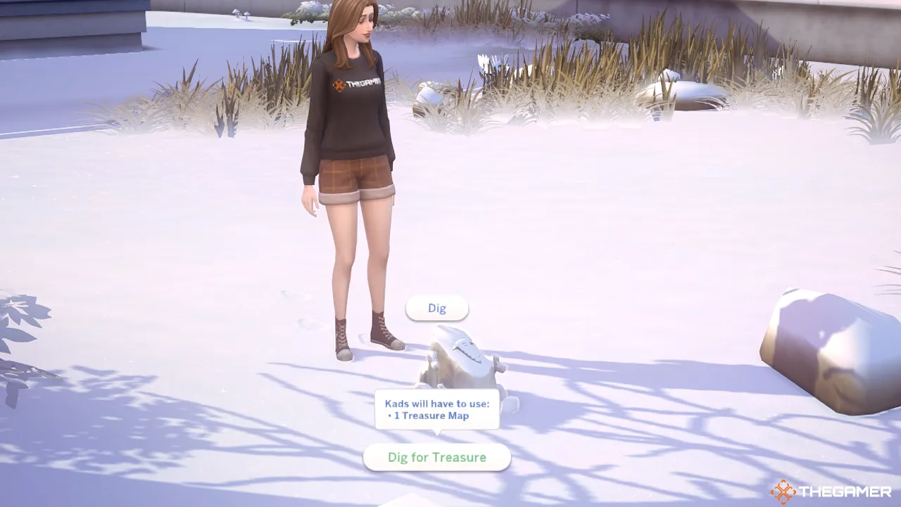 Un Sim avec l'option de creuser pour un trésor sur un rocher