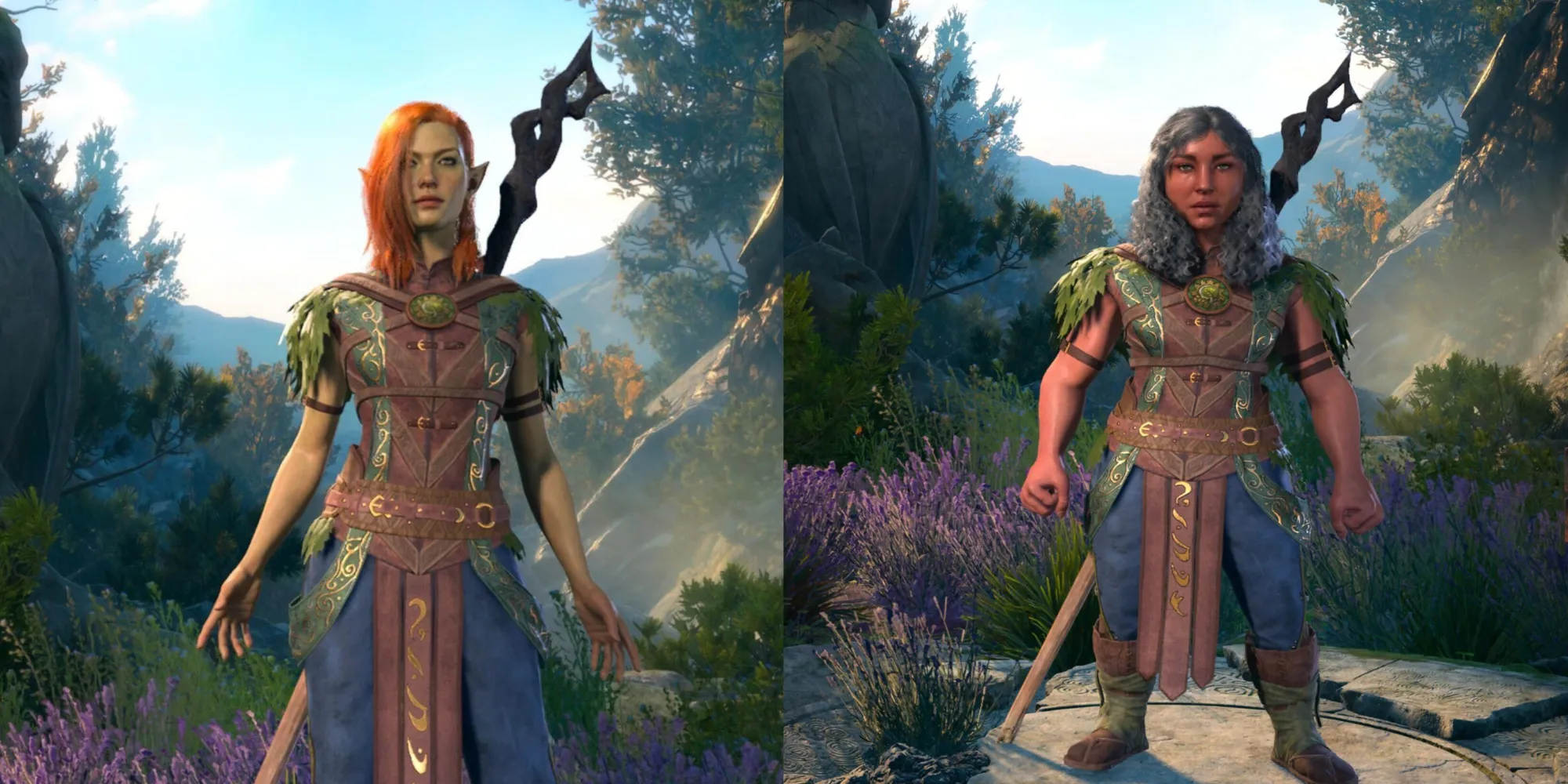 Baldur's Gate 3 un elfe des bois et un nain doré druide dans le créateur de personnages