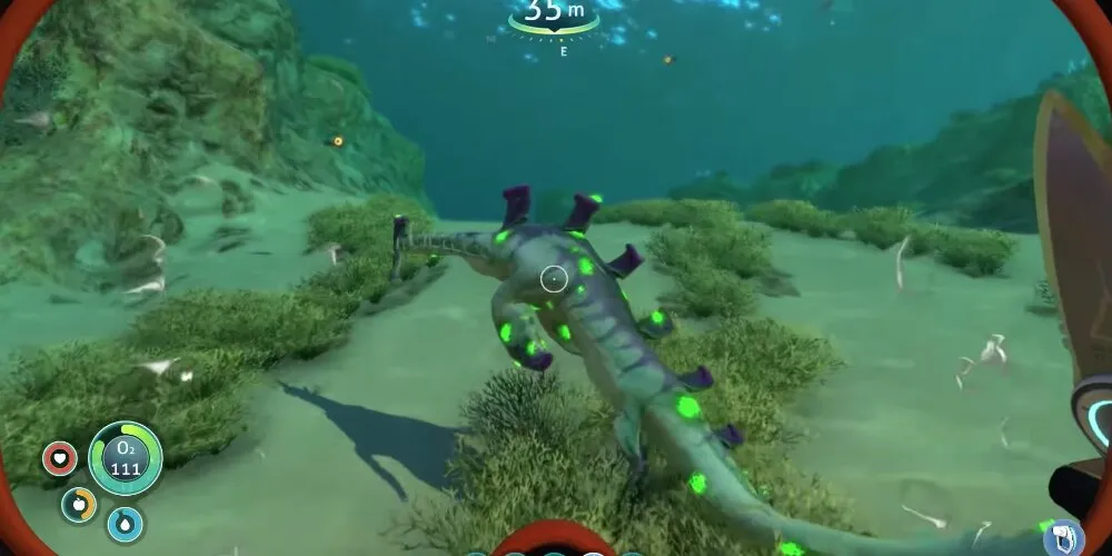 Joueur poursuivant une anguille à travers la mer