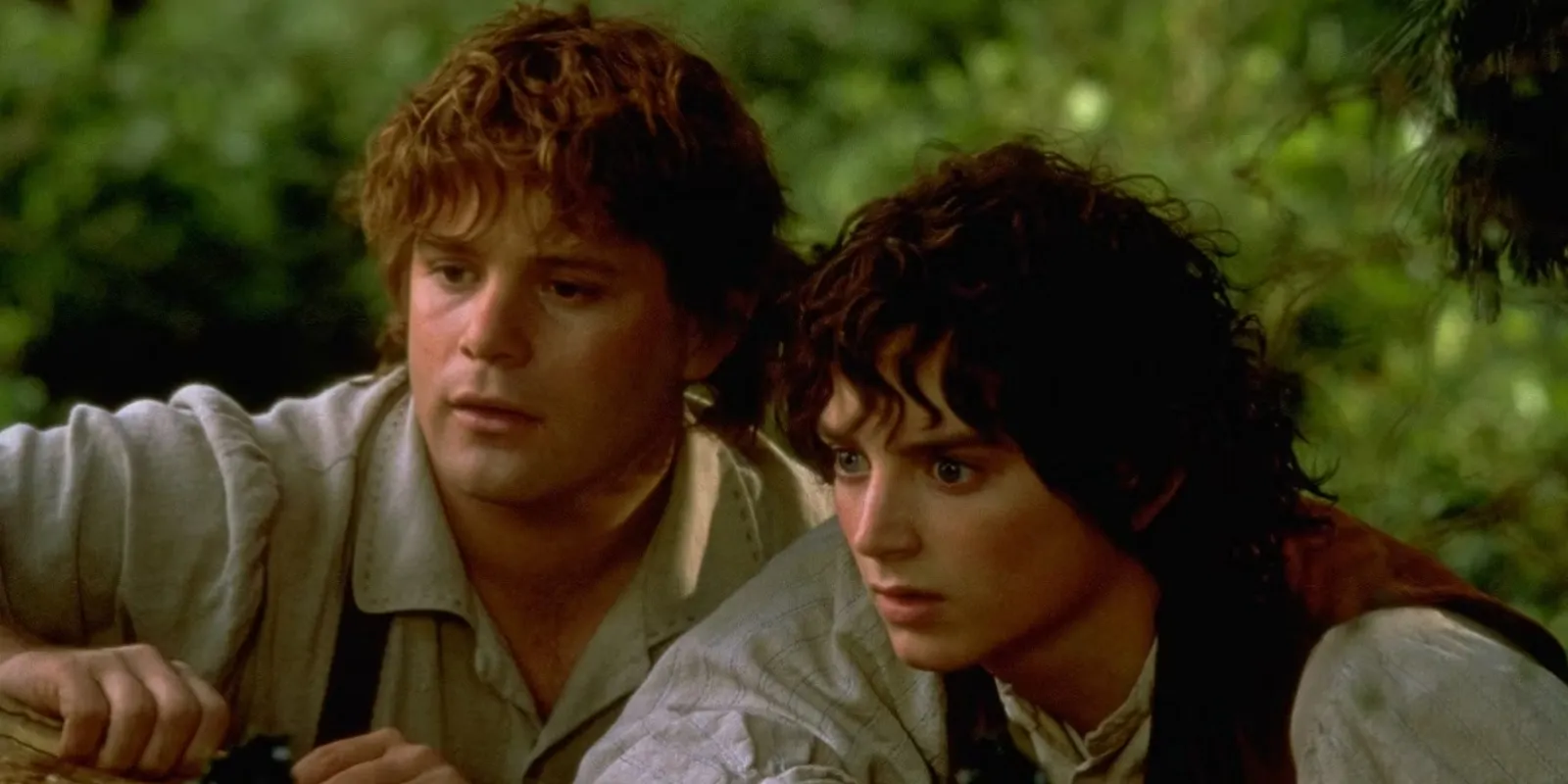 Sean Astin como Sam. Elijah Wood como Frodo.