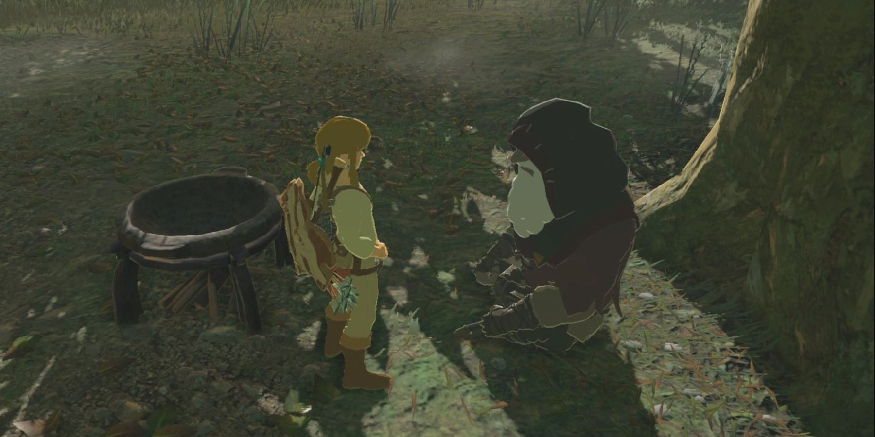 Link se tenant entre King Rhoam et une Marmite de cuisson dans The Legend of Zelda: Breath of the Wild