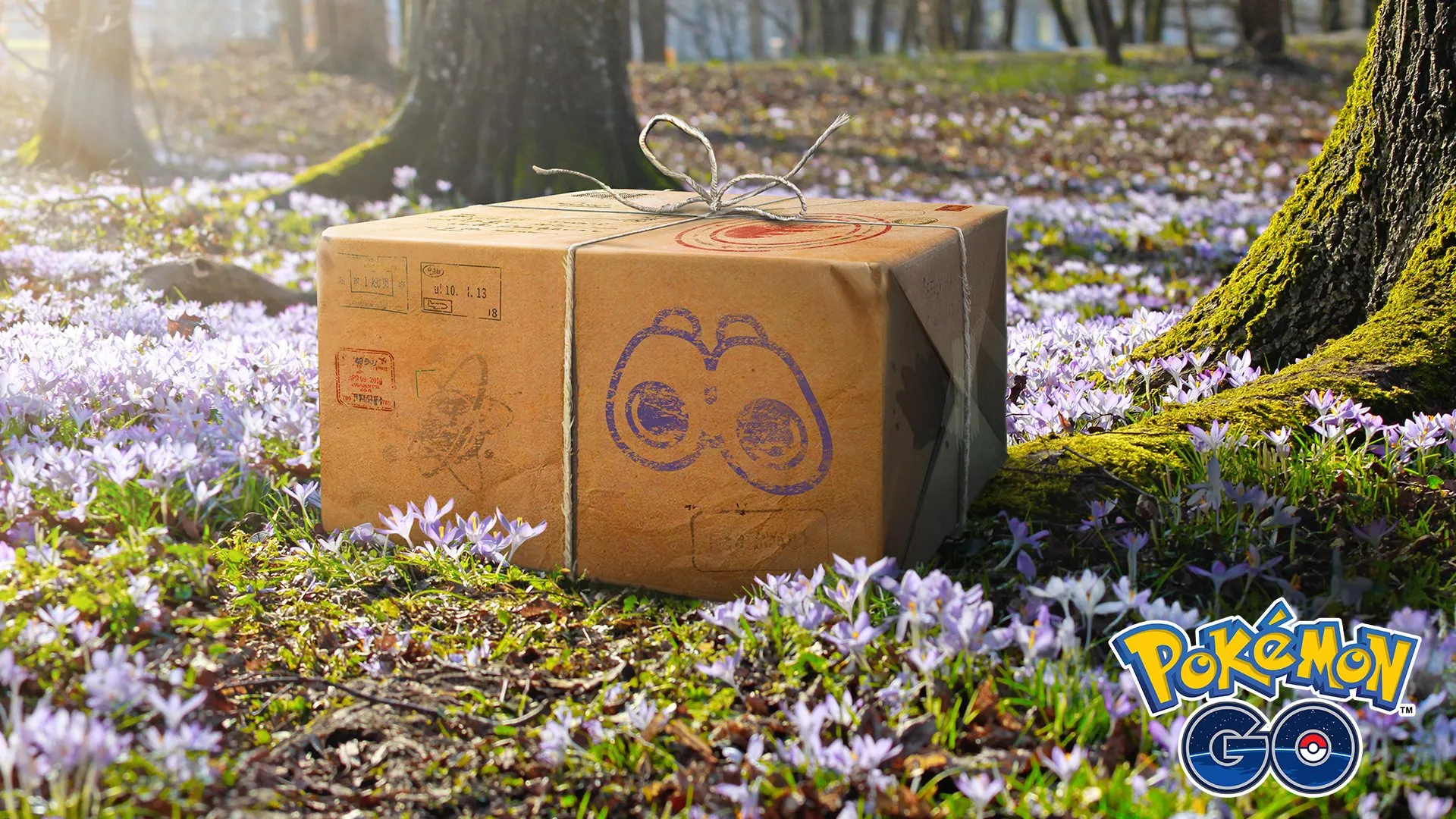 在春天的田野上的Pokemon Go物品捆绑包