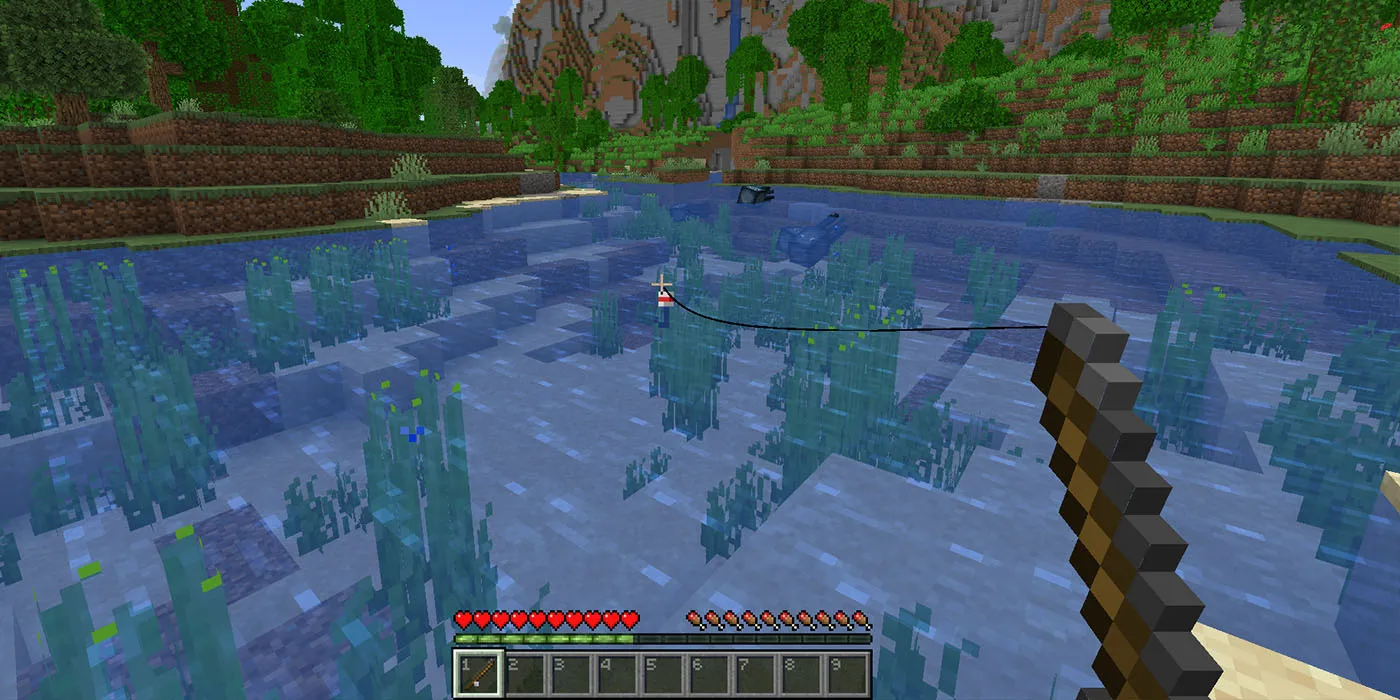Canna da Pesca di Minecraft
