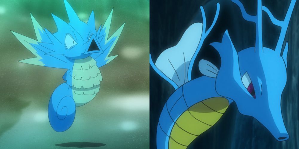 在精灵宝可梦动画中的海刺龙和刺龙王。