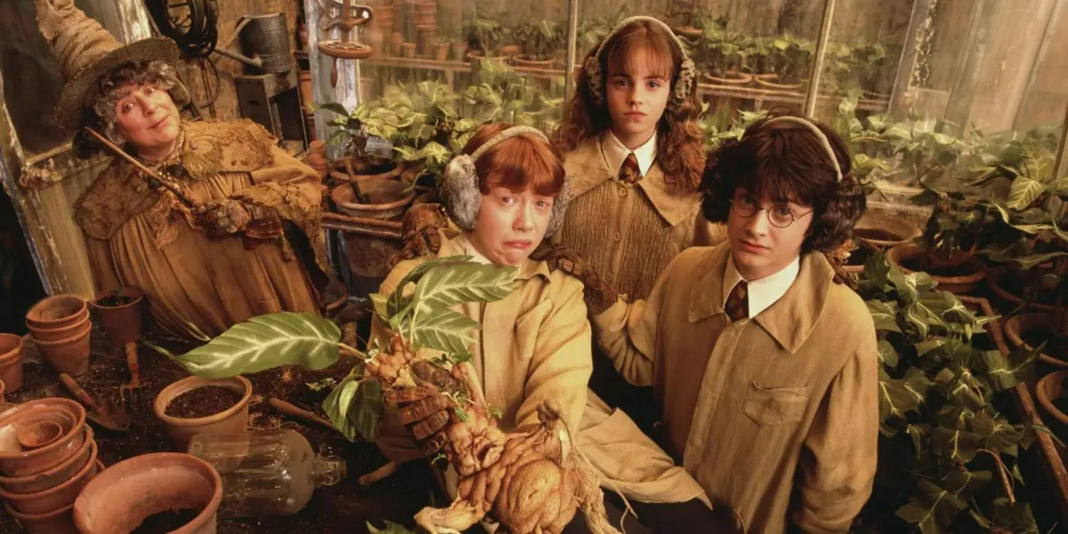 Une image de Harry Potter : Herbologie