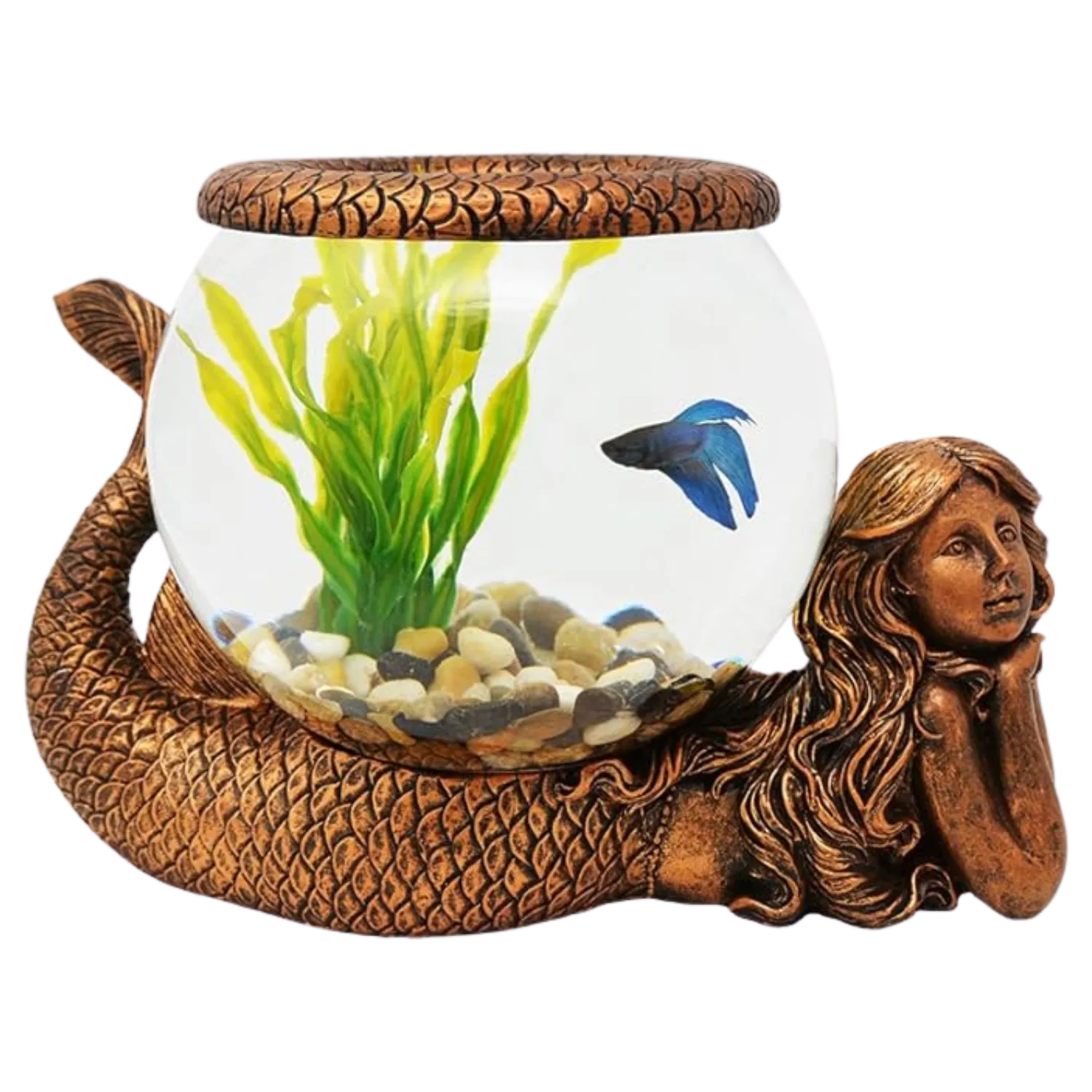 金鱼碗之金色美人鱼玻璃鱼缸