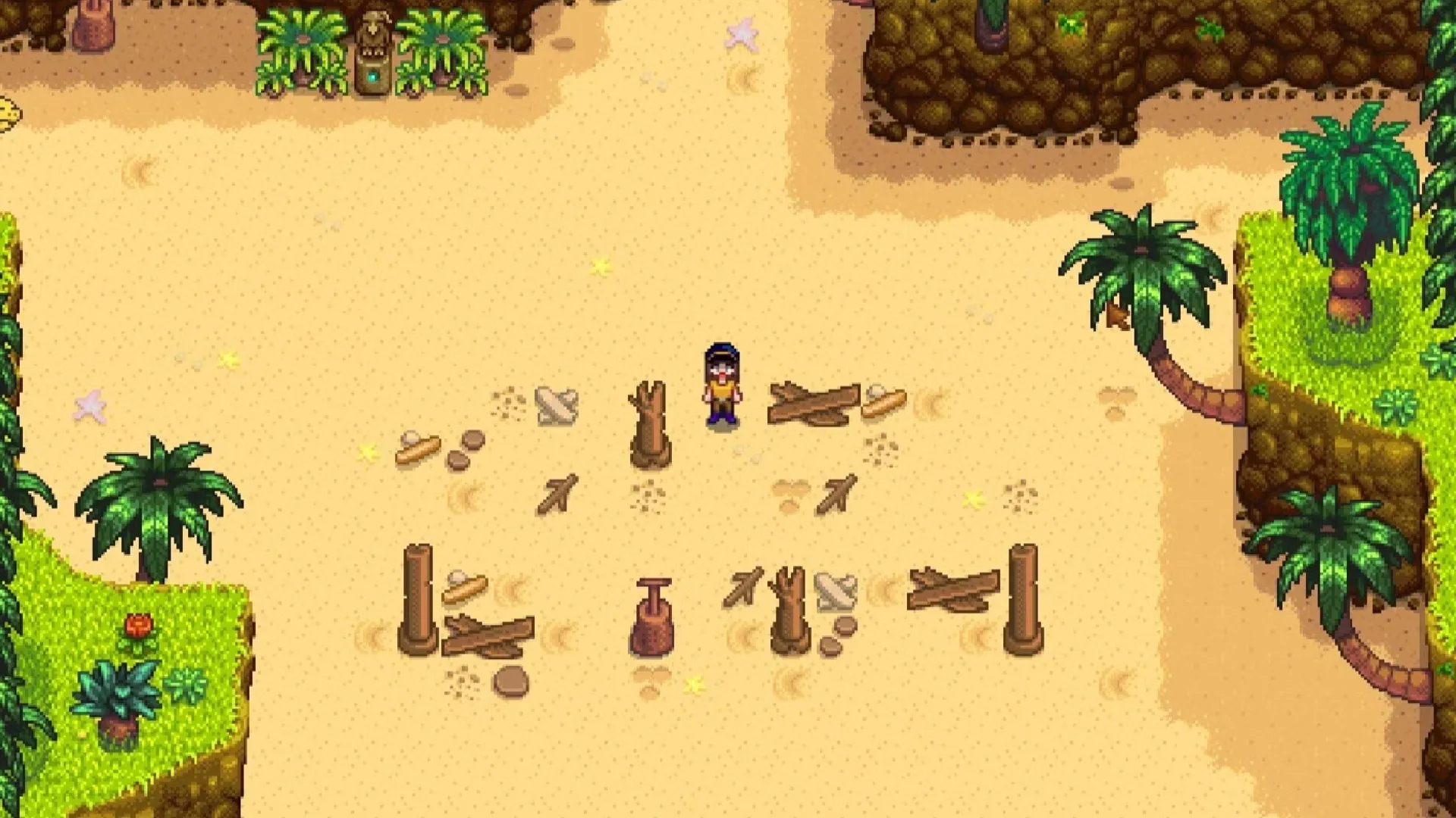 giocatore in piedi sulla spiaggia iniziale dell'isola Ginger