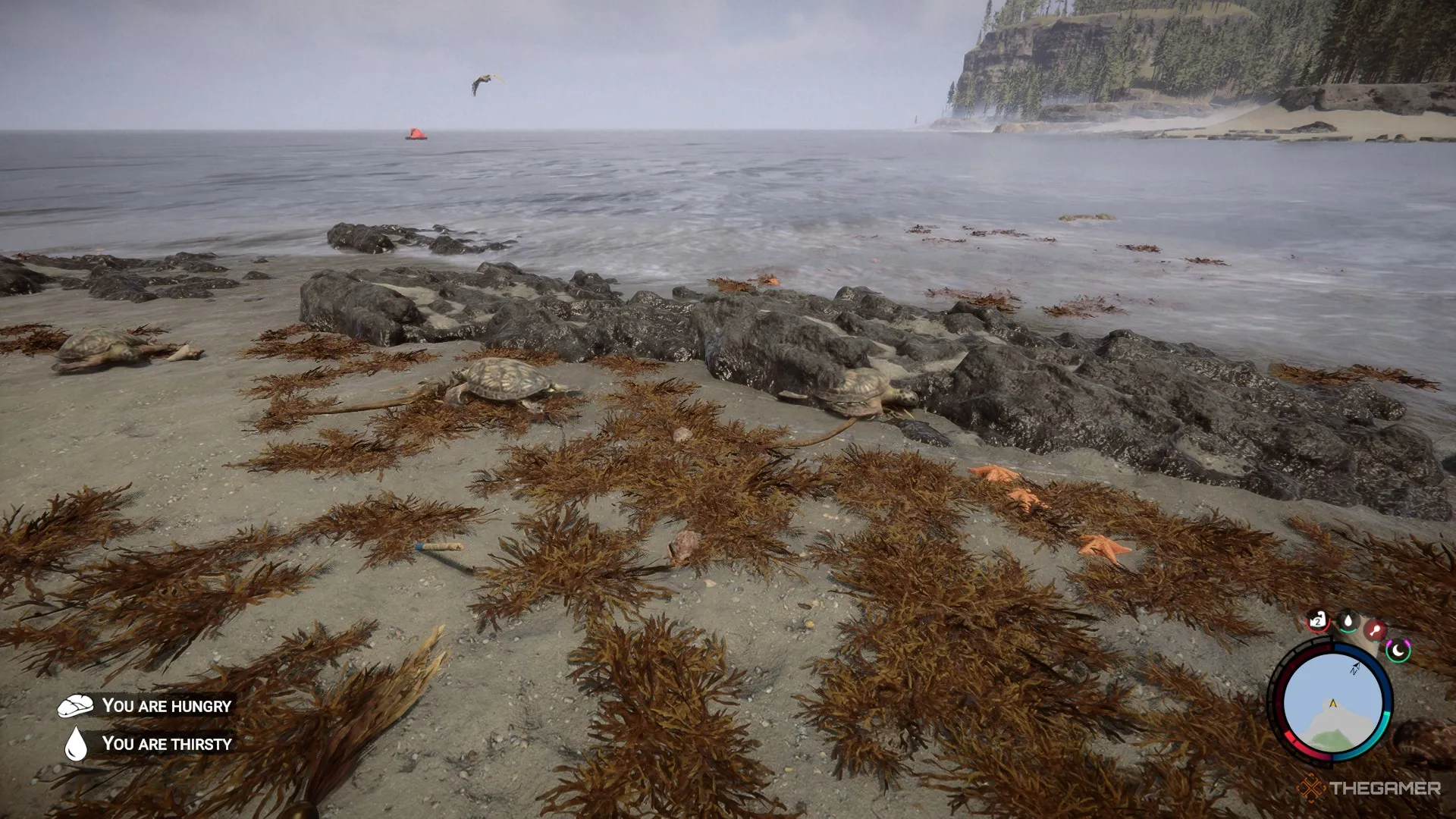 Une capture d'écran de Sons of the Forest montrant des tortues dispersées dans l'eau et sur la plage.