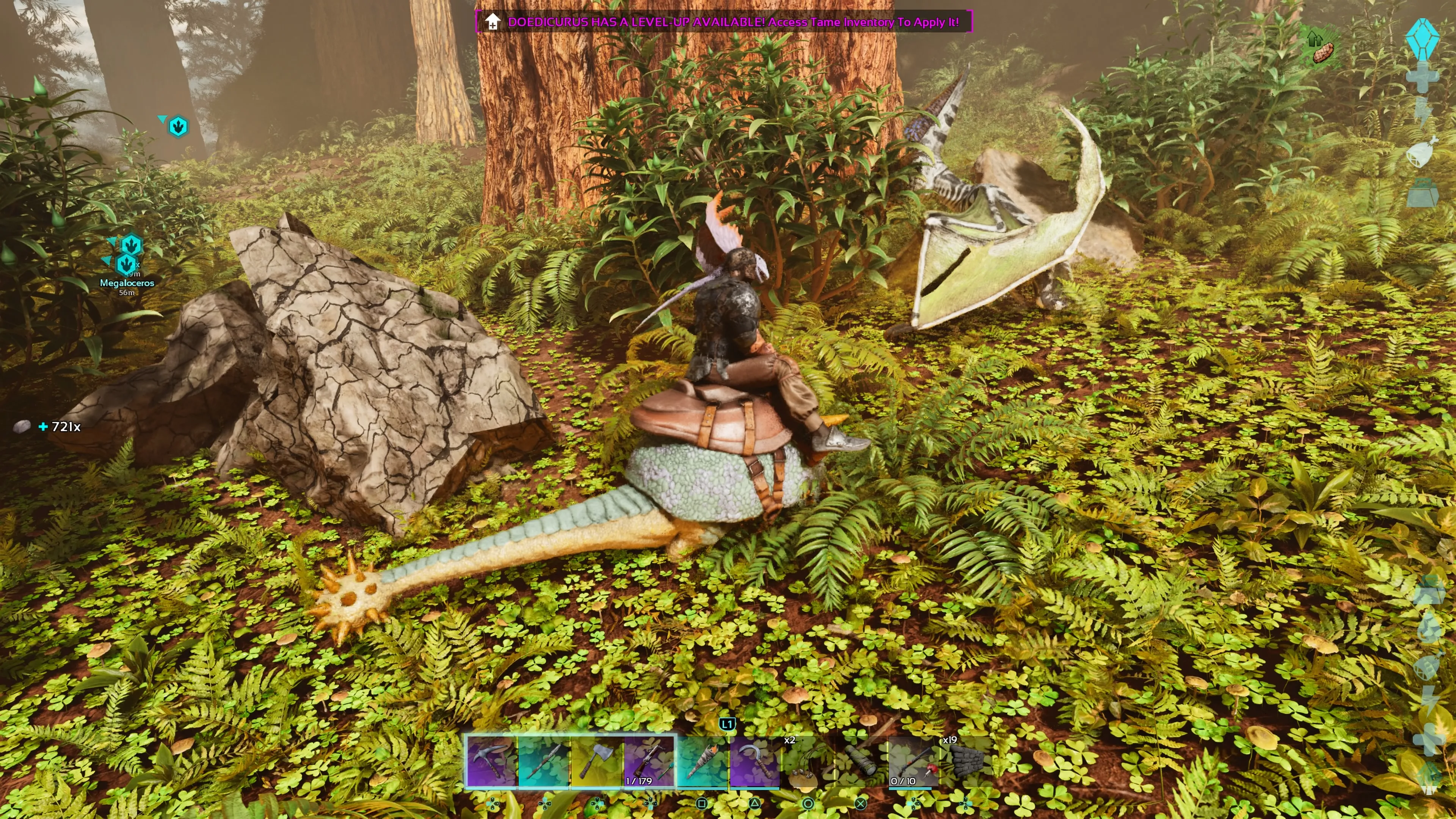 Personnage joueur avec un Dimorphodon sur l'épaule chevauchant un Doedicurus sellé et brisant un gros rocher avec dans ARK: Survival Ascended.