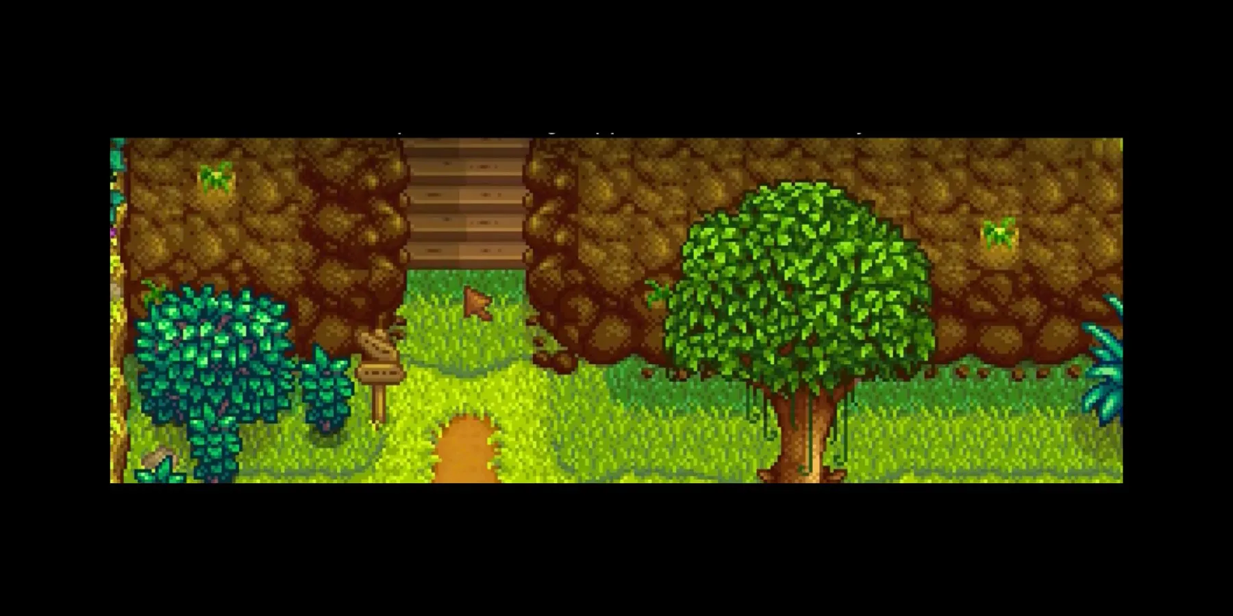 stardew-valley-earthquake-event-1