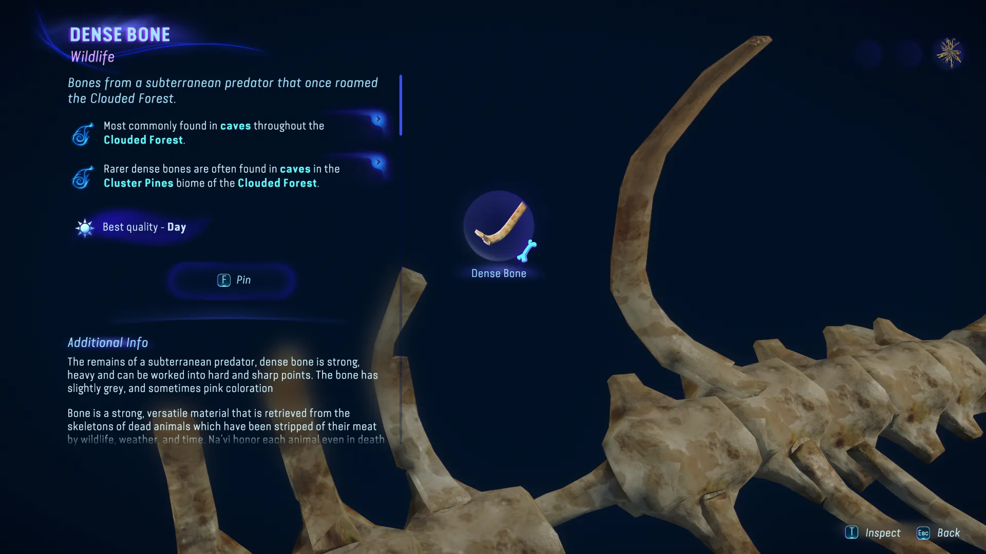 Dense Bone in Avatar Frontiers of Pandora