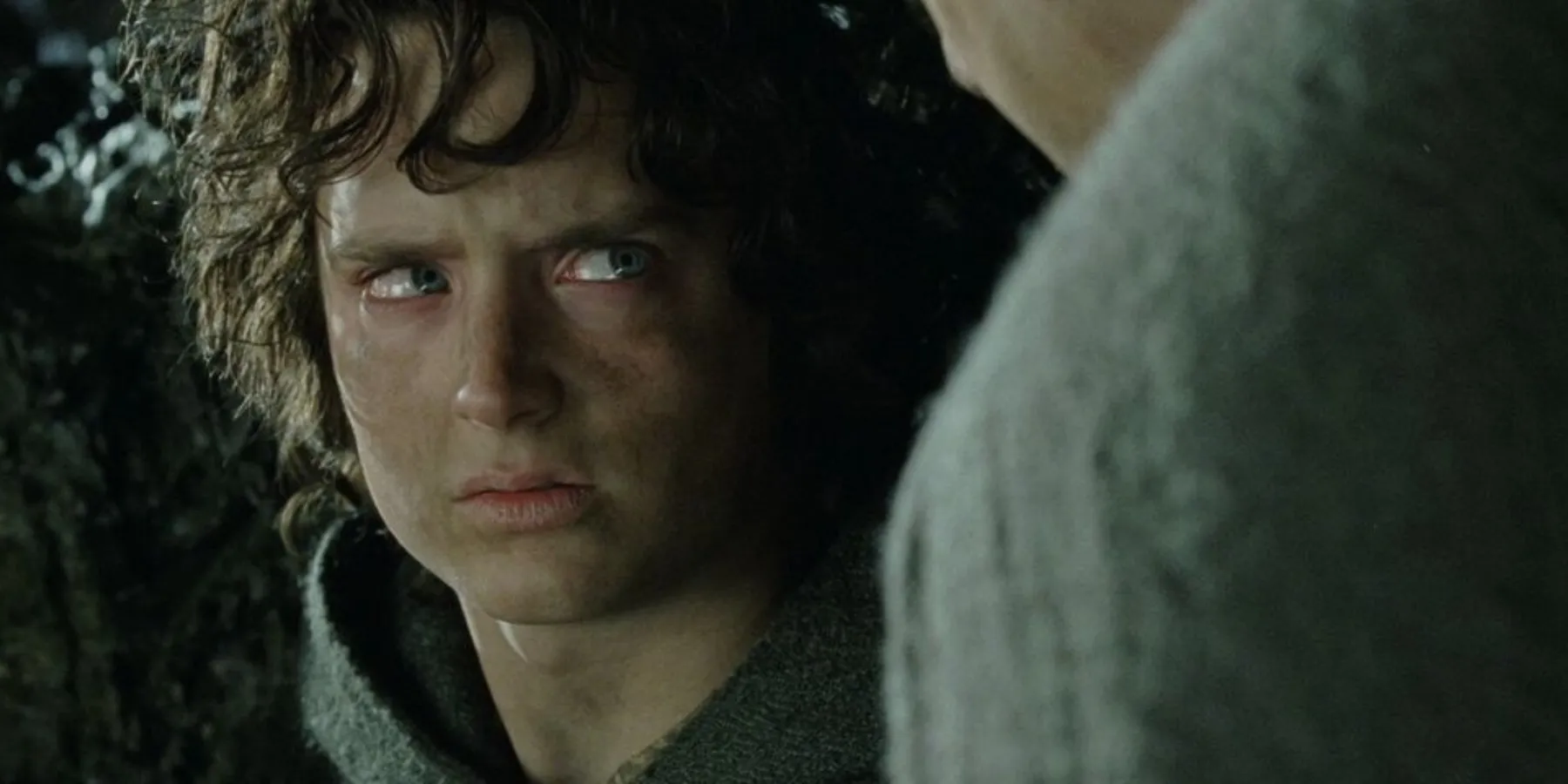 Sam e Frodo combattono in Il Signore degli Anelli