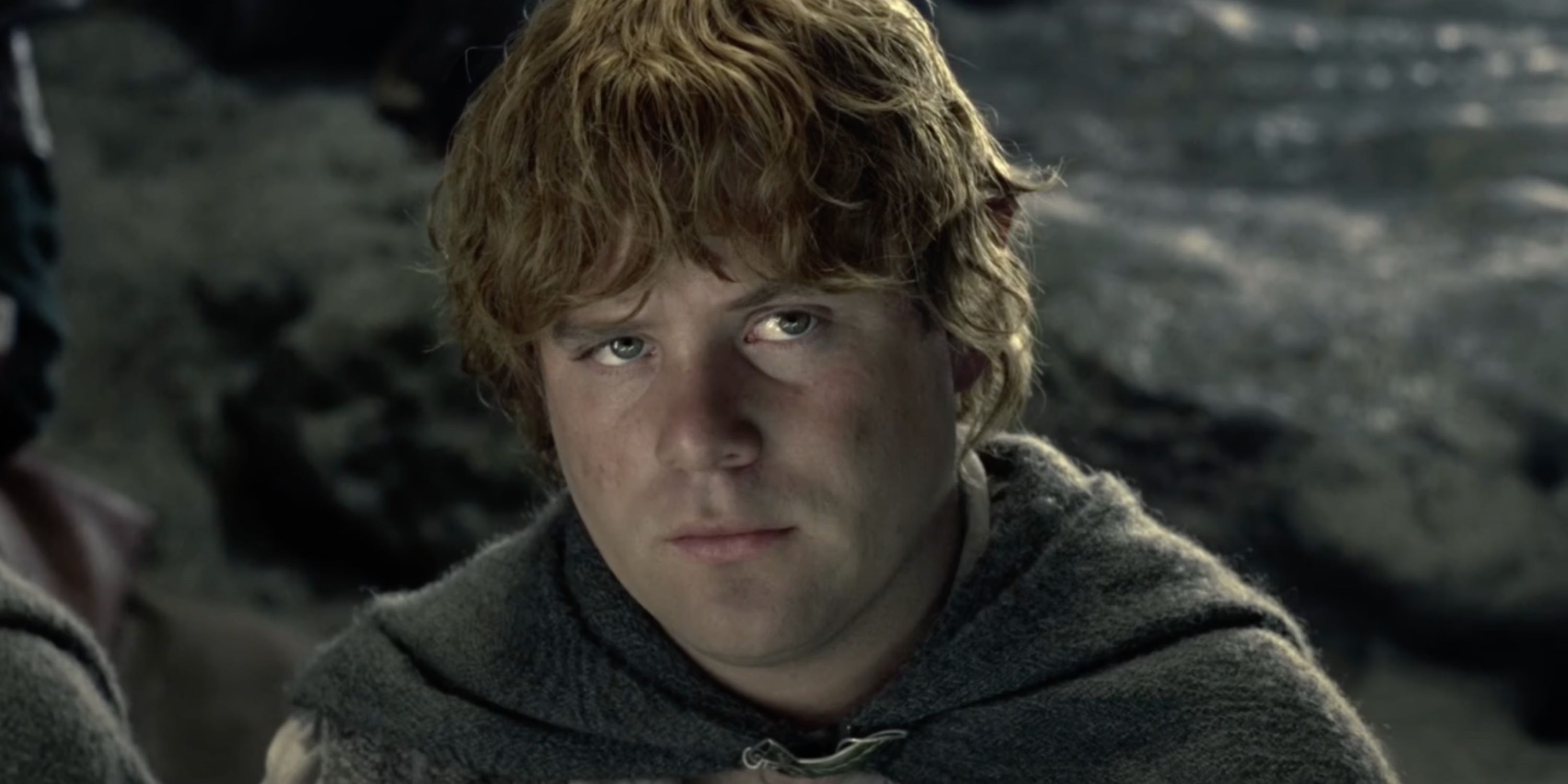 Sam che fa una smorfia dopo che gli viene chiesto se è la guardia del corpo di Frodo