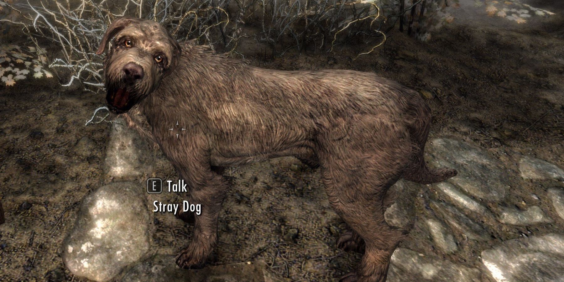 Skyrim: Stray Dog