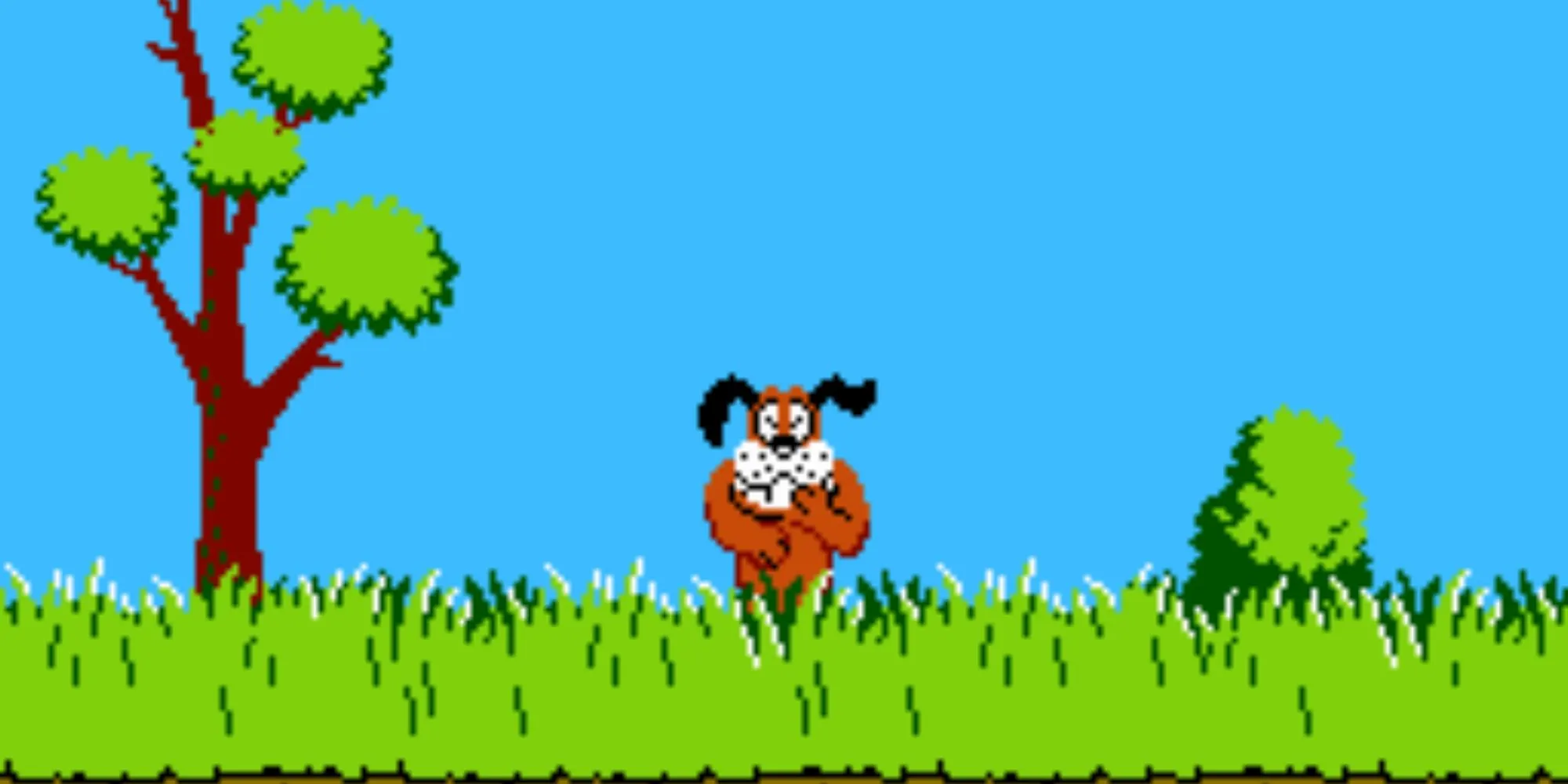 Cane Duck Hunt