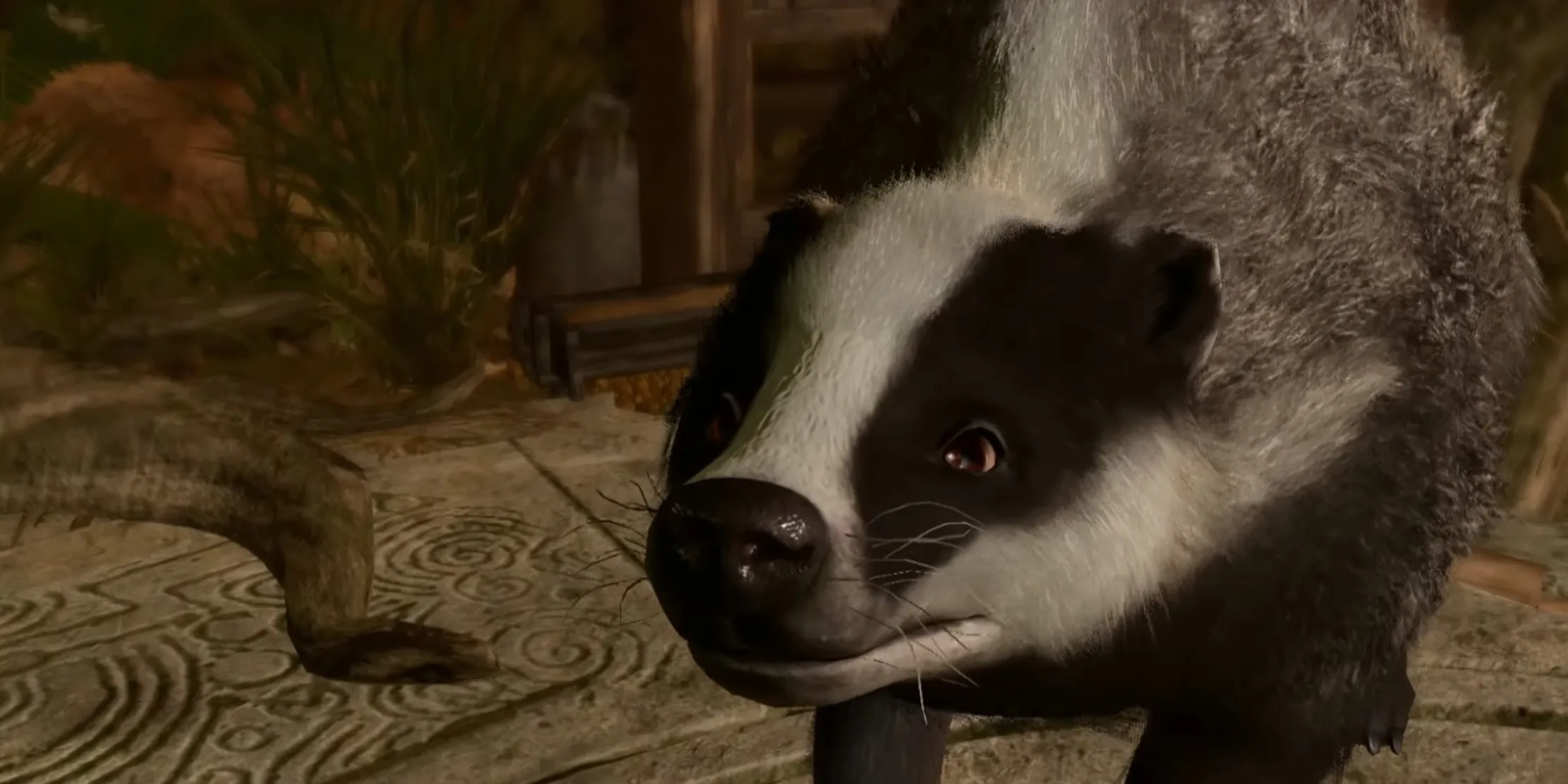 postmaster badger in jaheira’s basement