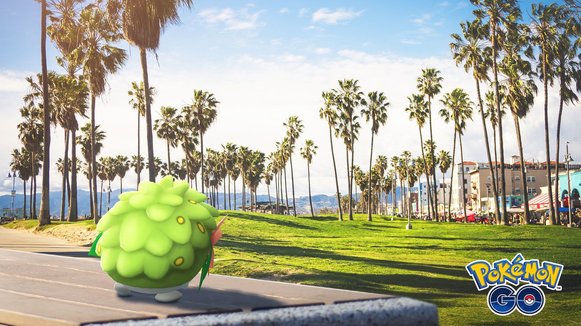 Shaymin looks out to palm trees along a beach
