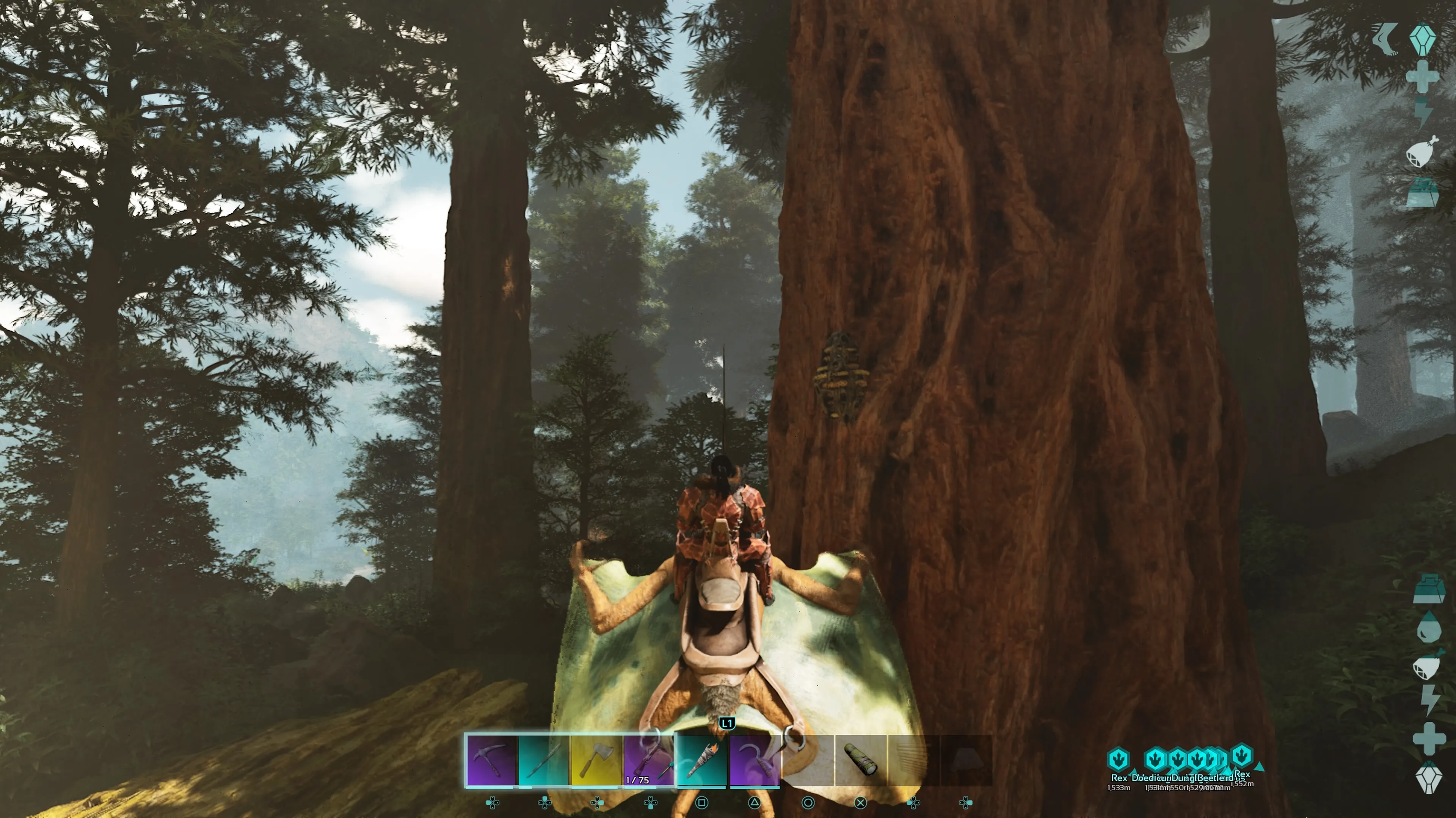 Personaje del jugador con armadura de quitina montando un Tapejara y volando cerca de una colmena en un gigante árbol de secuoya en Ark: Survival Ascended.