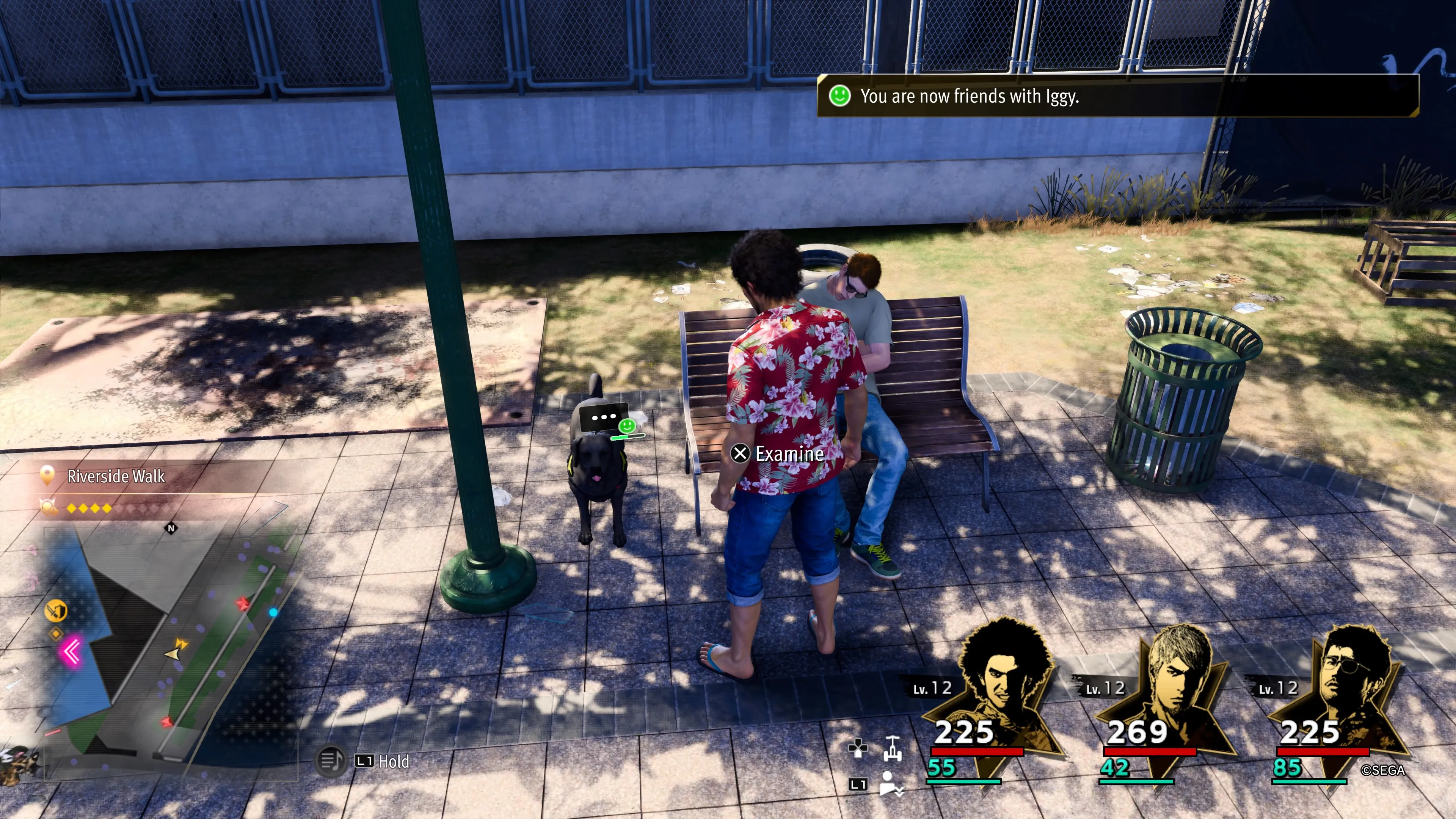 Kасуга встречается с черной собакой по имени Игги на Riverside Walk в игре Like A Dragon: Infinite Wealth.