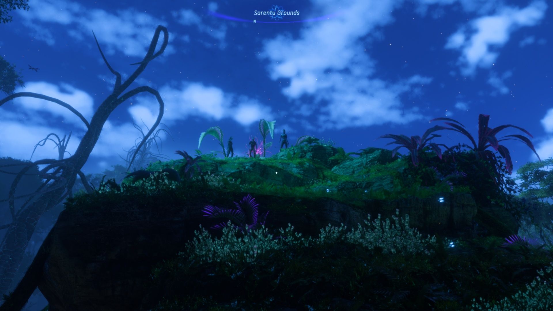 Les terrains de Sarentu, avec Teylan, Ri'nela et Nor en haut dans Avatar : Frontiers Of Pandora