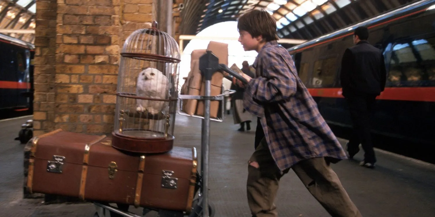 Harry Potter: Hedwig