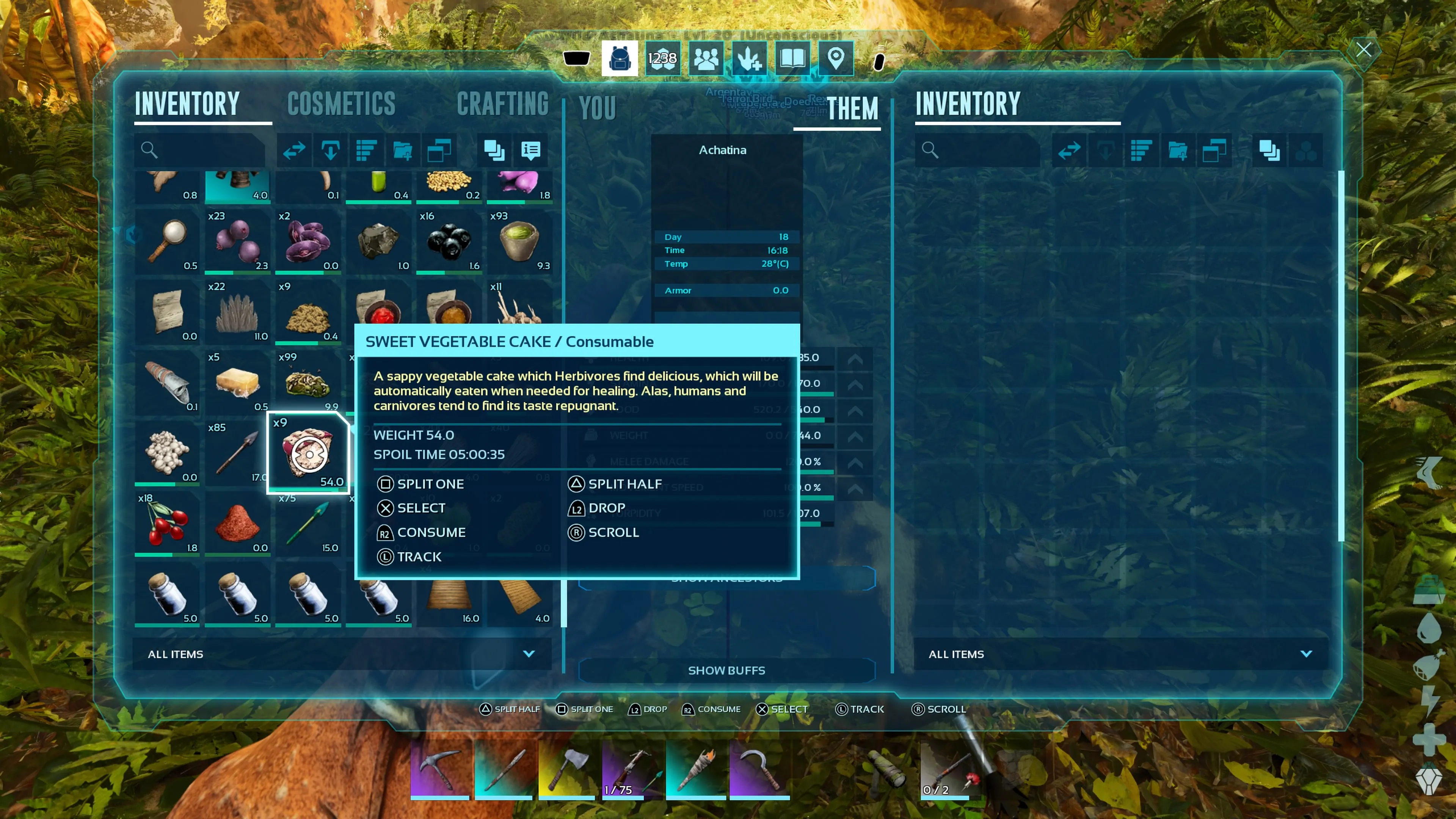 Personaje del jugador en su inventario y preparándose para transferir Tarta Vegetal Dulce como alimento para una Achatina inconsciente en Ark: Survival Ascended