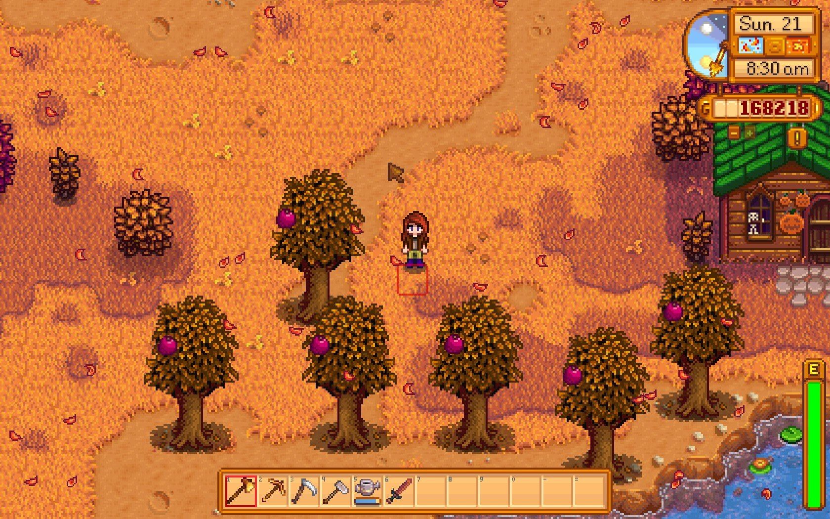 giocatore stardew valley vicino a degli alberi di melograno