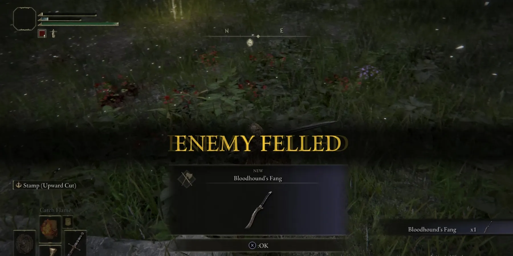 Obtaining the Bloodhound’s Fang in Elden Ring