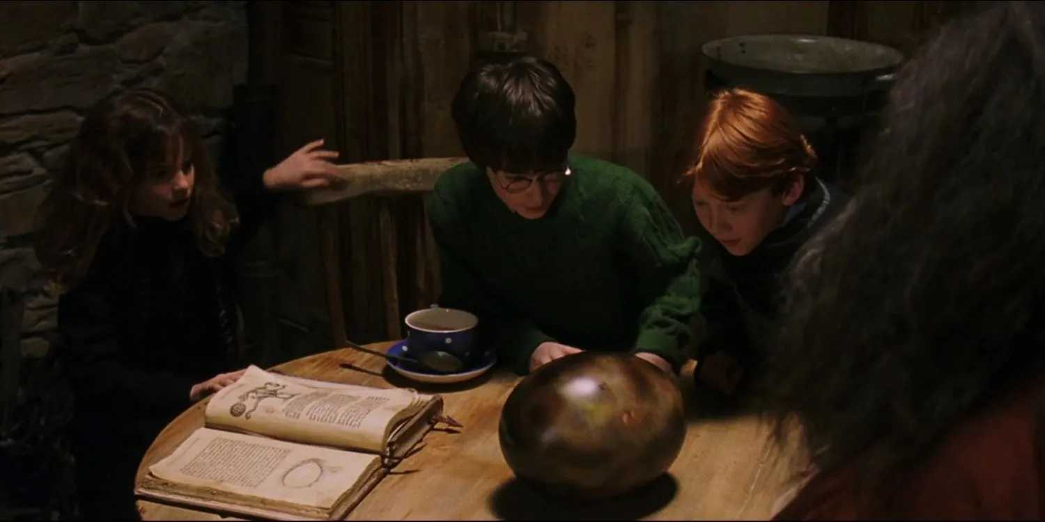Une image de Harry Potter : Élevage illégal