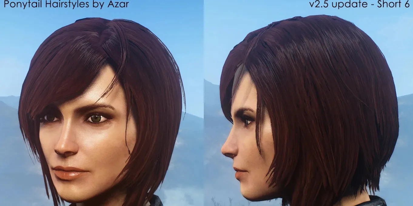 Ponytail Hairstyles Mod