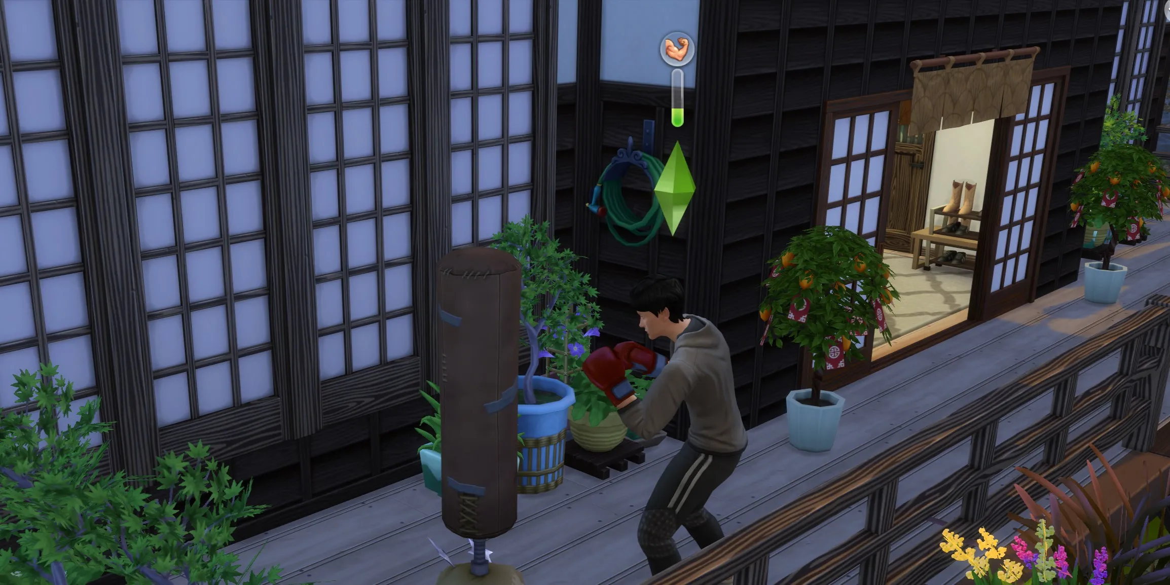 The Sims 4: シムがボクシングをしている画像