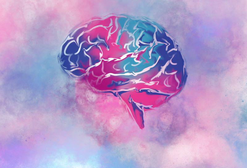 Imagen de noticias: Los niveles de serotonina en el cerebro pueden desempeñar un papel en el inicio del Alzheimer