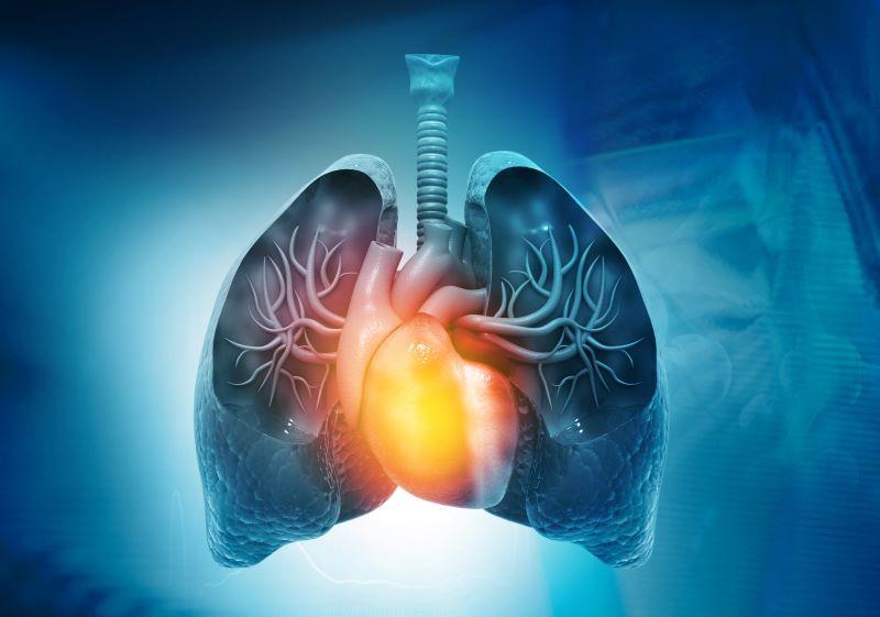 Image d'actualité : êtes-vous un respirateur nasal ou un respirateur buccal ? L'un pourrait être plus sain