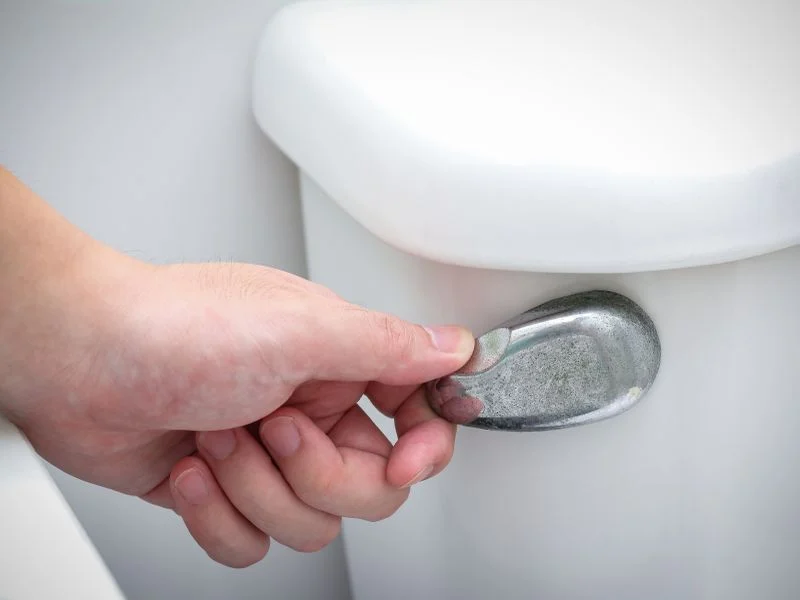 Noticia: Cerrar la tapa no reduce la propagación de gérmenes al descargar el inodoro