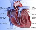 Malattie cardiache: sintomi, segni e cause